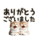 毎日使える日常会話☆敬語☆猫.ネコ.子猫（個別スタンプ：25）