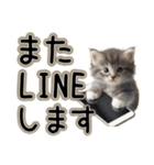 毎日使える日常会話☆敬語☆猫.ネコ.子猫（個別スタンプ：27）