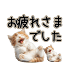 毎日使える日常会話☆敬語☆猫.ネコ.子猫（個別スタンプ：31）