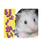 うちのマメハムちゃん（個別スタンプ：4）