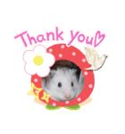 うちのマメハムちゃん（個別スタンプ：6）