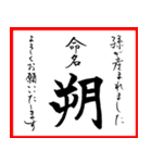 筆文字で命名書(2024年ランキング21〜30位)（個別スタンプ：2）