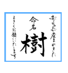 筆文字で命名書(2024年ランキング21〜30位)（個別スタンプ：3）