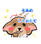 ぷっくり柴犬じぃじ（個別スタンプ：16）