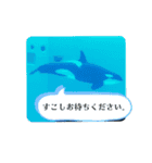 可愛いしゃちさんと海の仲間たち（個別スタンプ：10）