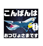 ヒコーキ好きぴょぴょスタンプ（個別スタンプ：13）