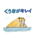 セイウチ図鑑（個別スタンプ：1）
