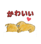 セイウチ図鑑（個別スタンプ：7）
