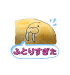 セイウチ図鑑（個別スタンプ：12）