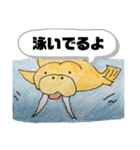 セイウチ図鑑（個別スタンプ：13）