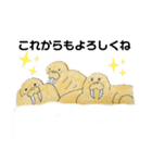 セイウチ図鑑（個別スタンプ：14）