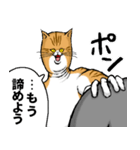 どうぶつが大好き01_pal_ver4日常会話（個別スタンプ：27）