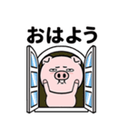 毎日目つきの悪い豚（個別スタンプ：1）