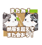 ちがくモルモットの岩石スタンプ（個別スタンプ：5）