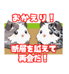 ちがくモルモットの岩石スタンプ（個別スタンプ：6）