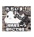 ちがくモルモットの岩石スタンプ（個別スタンプ：7）