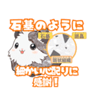 ちがくモルモットの岩石スタンプ（個別スタンプ：9）