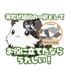 ちがくモルモットの岩石スタンプ（個別スタンプ：10）