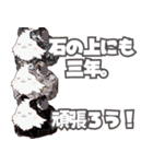 ちがくモルモットの岩石スタンプ（個別スタンプ：11）