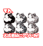 ちがくモルモットの岩石スタンプ（個別スタンプ：14）