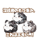 ちがくモルモットの岩石スタンプ（個別スタンプ：15）