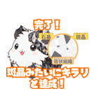 ちがくモルモットの岩石スタンプ（個別スタンプ：20）
