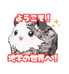 ちがくモルモットの岩石スタンプ（個別スタンプ：24）