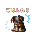 ヨークシャーテリアの子犬スタンプ（個別スタンプ：15）