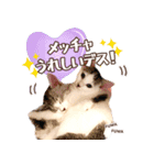 渡辺家の日常会話③（個別スタンプ：3）