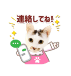 渡辺家の日常会話③（個別スタンプ：4）