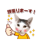 渡辺家の日常会話③（個別スタンプ：5）