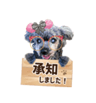 渡辺家の日常会話③（個別スタンプ：7）