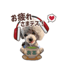 渡辺家の日常会話③（個別スタンプ：8）