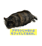 ココだよーーーん（個別スタンプ：4）