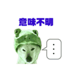 柴犬のヒメ（個別スタンプ：8）