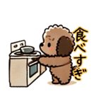 癒しのもこもこトイプー（日常一言）（個別スタンプ：16）