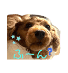 シープードル愛犬タピオカ物語1（個別スタンプ：12）