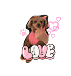 シープードル愛犬タピオカ物語1（個別スタンプ：14）