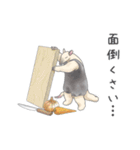 冬！パンダとコアリクイ（個別スタンプ：22）