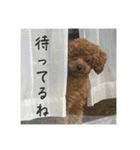 ティナスタンプno.1（個別スタンプ：4）