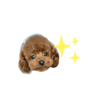 ティナスタンプno.1（個別スタンプ：5）