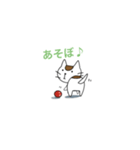 まいぺ〜す猫（個別スタンプ：6）