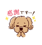 丁寧語のポメラニアンとトイプードルさん（個別スタンプ：6）
