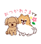 丁寧語のポメラニアンとトイプードルさん（個別スタンプ：9）