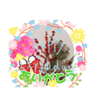冬の花LINEスタンプ、yamami（個別スタンプ：1）