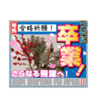 冬の花LINEスタンプ、yamami（個別スタンプ：2）