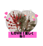 冬の花LINEスタンプ、yamami（個別スタンプ：3）