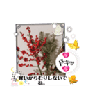 冬の花LINEスタンプ、yamami（個別スタンプ：4）