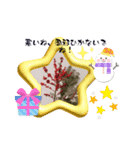 冬の花LINEスタンプ、yamami（個別スタンプ：5）