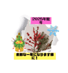 冬の花LINEスタンプ、yamami（個別スタンプ：7）